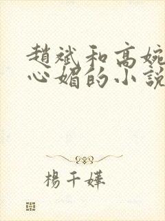 赵斌和高婉君赵心媚的小说