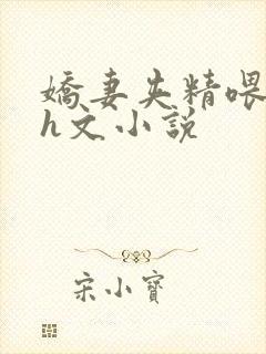 娇妻夹精喂绿夫h文小说封面