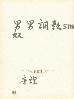 男男调教sm男奴