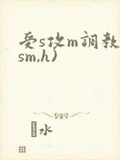 受s攻m调教(sm,h)