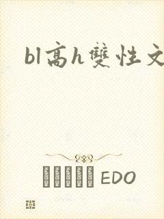 bl高h双性文