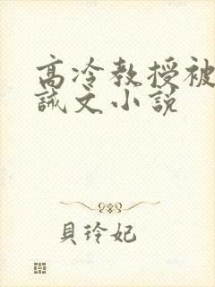 高冷教授被罚训诫文小说