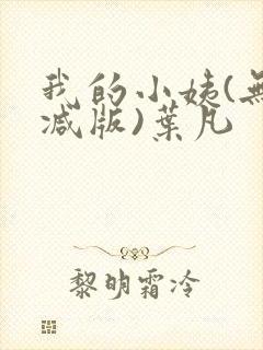 我的小姨(无删减版)叶凡