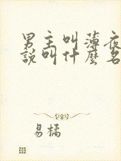 男主叫薄夜的小说叫什么名字