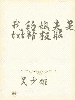 我的姐夫是太子txt精校版