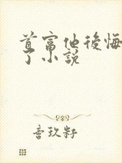 首富他后悔隐婚了小说封面