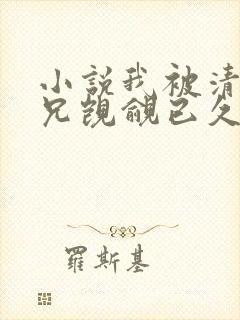 小说我被清冷师兄觊觎已久小说