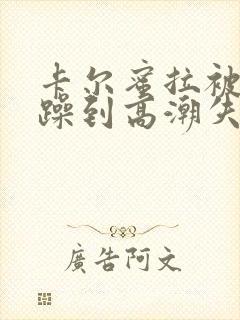 卡尔蜜拉被狂c躁到高潮失禁小说