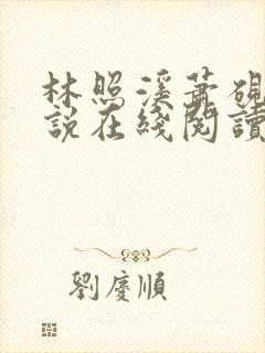 林照溪萧砚川小说在线阅读