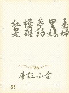 红楼梦里秦可卿是谁的媳妇封面