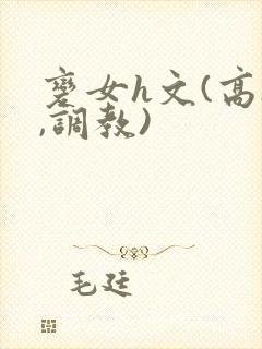 变女h文(高h,调教)