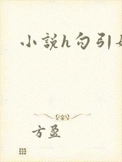 小说h勾引姐夫封面