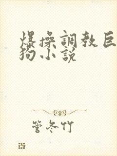 爆操调教巨骚母狗小说