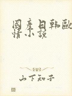 国产日韩欧美激情小说