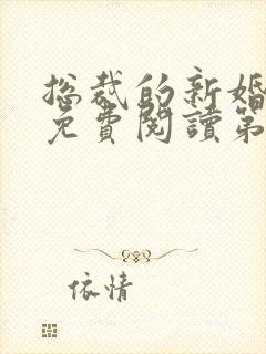 总裁的新婚罪妻免费阅读第二部封面