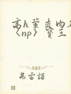 高h荤爽肉欲文〈np〉宝玉