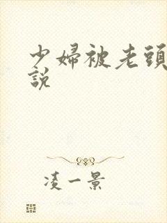 少妇被老头干小说