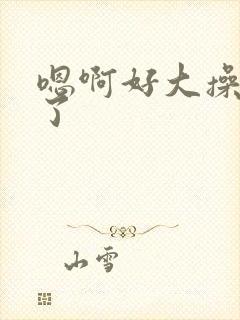 嗯啊好大操死我了封面