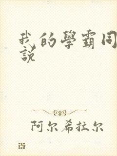 我的学霸同桌小说