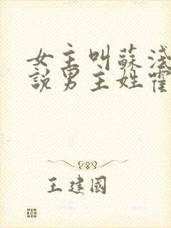 女主叫苏浅的小说男主姓霍