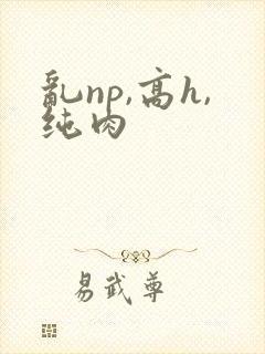 乱np,高h,纯肉