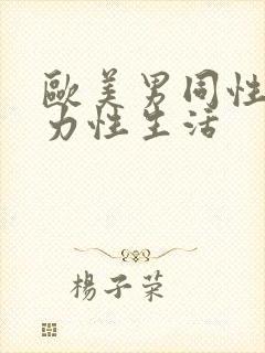 欧美男同性恋暴力性生活