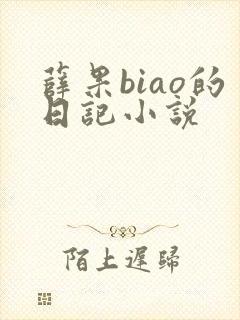 薛果biao的日记小说