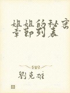 姐姐的秘密小说章节列表