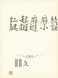 扛起麻麻丝袜美腿挺进小说封面