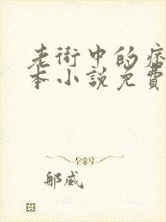 老街中的痞子全本小说免费阅读