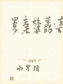 男主姓叶,有很多老婆的玄幻小说