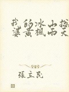 我的冰山总裁老婆黄枫雨天封面