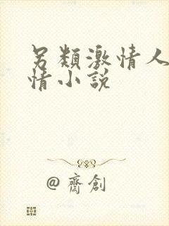 另类激情人妻激情小说