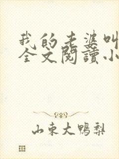 我的老婆叫武艳全文阅读小说