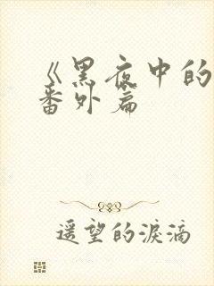 《黑夜中的她》番外篇