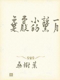 免费小说一皇后是朕的黑月光封面