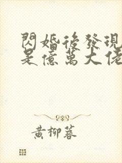 闪婚后发现老公是亿万大佬封面