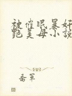 被催眠暴奸的冷艳美母小说封面