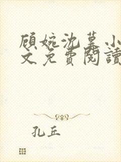 顾婉沈暮小说全文免费阅读无弹窗封面