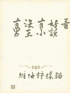 有没有好看的双男主小说