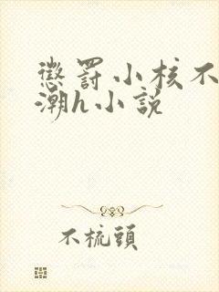 惩罚小核不停高潮h小说封面