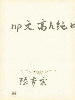 np文高h纯肉