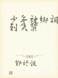 少年被绑调教爽到失禁