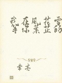 我在风花雪月里等你叶芷的孩子封面