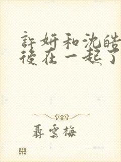 许妍和沈皓明最后在一起了吗封面