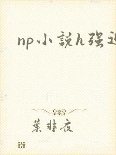 np小说h强迫
