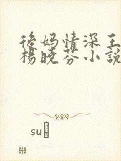 后妈情深王磊与杨晓芬小说