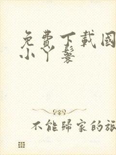 免费下载国公府小丫鬟