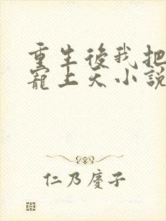 重生后我把丈夫宠上天小说