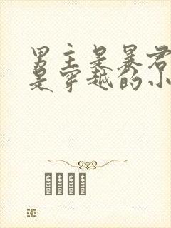 男主是暴君女主是穿越的小说